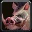 Creature\Boar\Boar.mdx