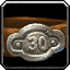 Level 30 icon