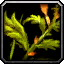 Bush_Bruiseweed01.mdx