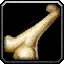 INV_Misc_Bone_01