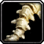 INV_Misc_Bone_03