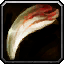 INV_Misc_Bone_06