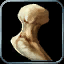 INV_Misc_Bone_10