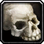 Creature\Skeleton\Skeleton.mdx