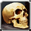 INV_Misc_Bone_HumanSkull_02