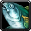 INV_Misc_Fish_02