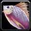 INV_Misc_Fish_07