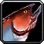 INV_Misc_Fish_22