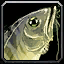 INV_Misc_Fish_28