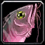 INV_Misc_Fish_29