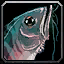 INV_Misc_Fish_30