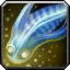 INV_Misc_Fish_72