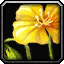INV_Misc_Flower_01