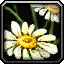INV_Misc_Flower_02