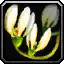 INV_Misc_Flower_03