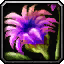 INV_Misc_Flower_04