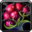 INV_Misc_Food_104_TundraBerries