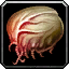 INV_Misc_Food_126_ClamMeat