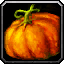 INV_Misc_Food_25