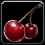 INV_Misc_Food_40