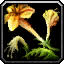 INV_Misc_Herb_02