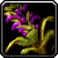 INV_Misc_Herb_03