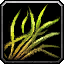 INV_Misc_Herb_05