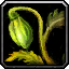 INV_Misc_Herb_08