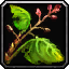 INV_Misc_Herb_09