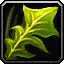 INV_Misc_Herb_10