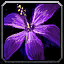 INV_Misc_Herb_13