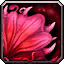 INV_Misc_Herb_TalandrasRose
