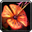 INV_Misc_Herb_Tigerlily