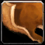 INV_Misc_LeatherScrap_01