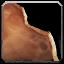 INV_Misc_LeatherScrap_02