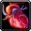 INV_Misc_Organ_01