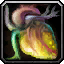 INV_Misc_Organ_02