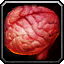 INV_Misc_Organ_03