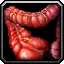 INV_Misc_Organ_05