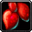 INV_Misc_Organ_06