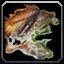 INV_Misc_Pelt_Boar_Ruin_02
