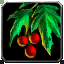 INV_Misc_Plant_03