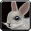 Creature\Rabbit\Rabbit.mdx