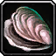 INV_Misc_Shell_02