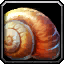 INV_Misc_Shell_04