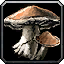 INV_Mushroom_01