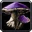 INV_Mushroom_06