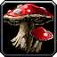 INV_Mushroom_07