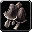INV_Mushroom_08
