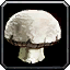 INV_Mushroom_12